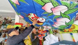 东岛风筝爆料视频下载,精彩瞬间与幕后故事