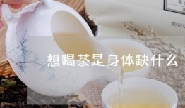 喝茶爆料最新视频,热点事件深度解析