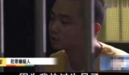 特殊房客在线观看,揭秘神秘公寓里的惊悚故事