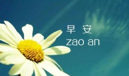 早安最新爆料图片大全集,最新图片大全集精彩瞬间回顾