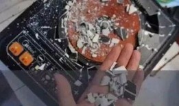 最奇趣视频爆料,带你领略未知世界的奇妙瞬间