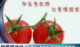 吃瓜营销号娱乐号怎么做,如何玩转娱乐号吸粉攻略