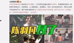 河南出轨爆料视频大全,揭秘不为人知的情感漩涡
