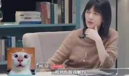 金星爆料娱乐圈四大黑幕,四大黑幕背后的惊人真相