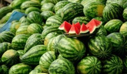 网红有什么瓜吃,揭秘那些你不知道的幕后故事与八卦传闻