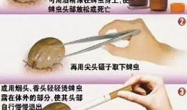 绍兴新闻爆料平台蜱虫,惊现蜱虫隐患，专家提醒防范措施！