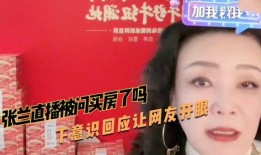 张兰爆料买房视频播放大全,揭秘豪宅背后的故事