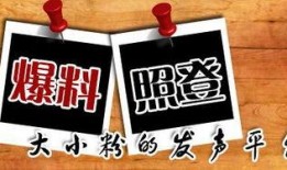 新闻爆料有哪几个地方组成,揭秘我国多个地区联合打造的新项目