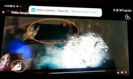 小岛秀夫爆料视频,揭秘游戏界神秘面纱背后的故事