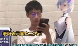 情侣皮肤视频爆料,甜蜜互动，揭秘游戏内浪漫瞬间