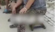 大妈最新爆料,揭秘娱乐圈惊人内幕