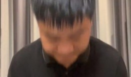 老陈最新爆料消息今天视频,今日视频揭秘惊人内幕