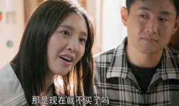 熟年离婚在线观看,揭秘中年情感裂痕的在线情感剧