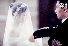 娱乐圈吃瓜陈晓微博,吃瓜群众热议不断