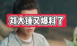 明星爆料刘大锤视频,揭秘明星幕后真相