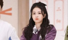 白鹿闺蜜爆料视频合集,揭秘娱乐圈背后的真相与秘密