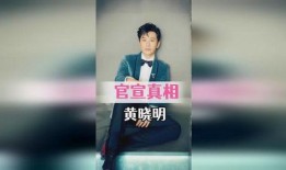 明星爆料刘大锤视频,揭秘明星幕后真相