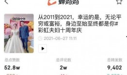 彩虹夫妇被爆料的视频,真相与争议交织