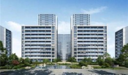 鸡东爆料真实情况最新疫情,揭秘真实疫情形势