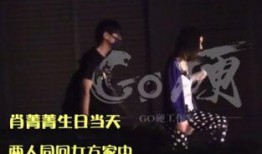 王大锤爆料巨星视频播放