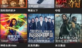 格斗大王爆料视频大全下载,视频大全下载全解析