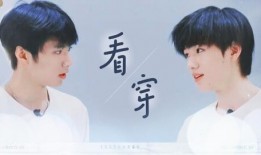 圈内人爆料文轩cp,圈内人爆料背后的甜蜜故事