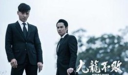 张晋爆料倒追是真的吗视频,揭秘明星恋爱背后的甜蜜故事