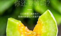 网红有什么瓜吃,揭秘那些你不知道的幕后故事与八卦传闻